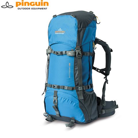 PNG 3017.002 - Рюкзак ACTIVENT 55-new синій-сірий