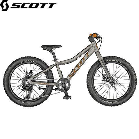 280879.222 - Велосипед дитячий ROXTER 20 raw alloy (CN) (2021)