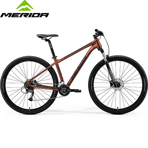 6110895979 - Велосипед BIG.NINE 60-2X matt bronze (black) рама L (18.5")